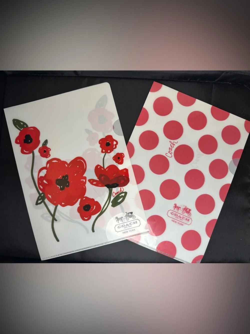 COACH Japan Exclusive Polka Dot & Floral Collectible Clear File Folder Set EUC